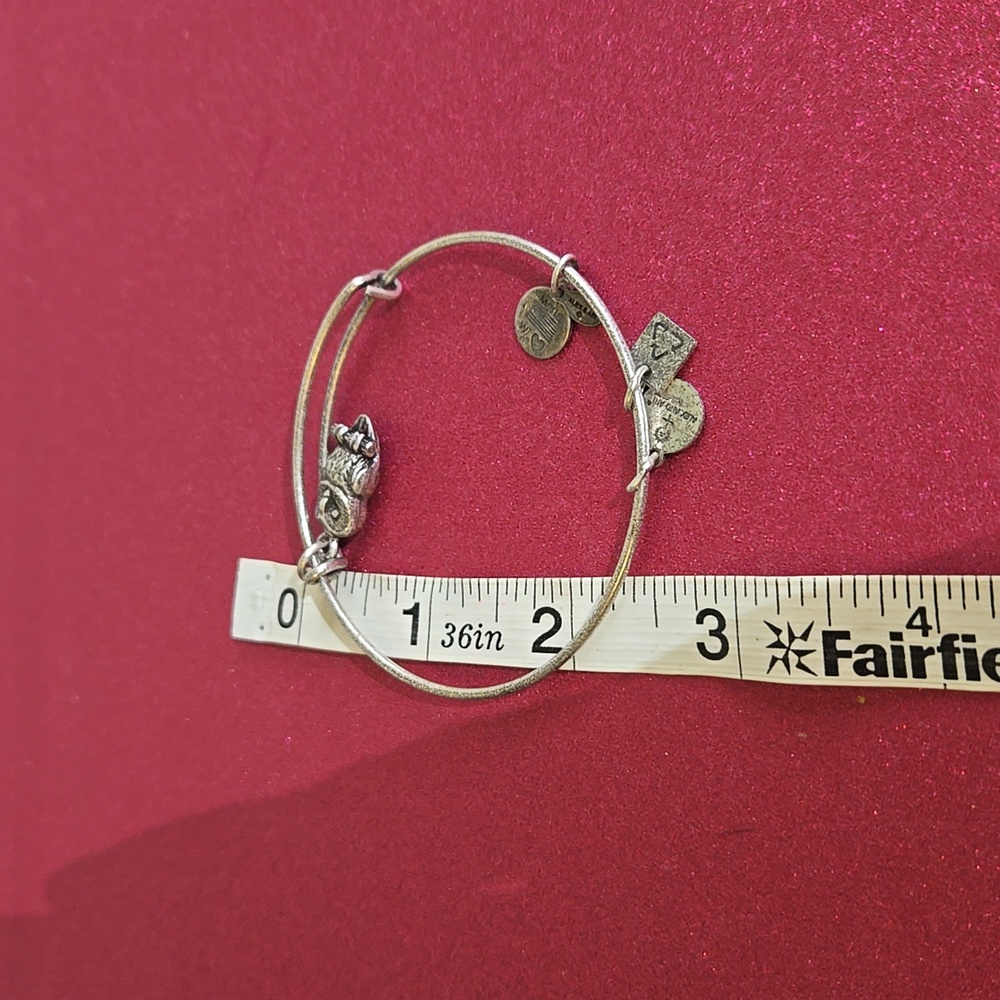 Alex and ani bracelet owl jo35 - Picture 4 of 4